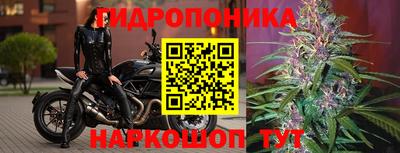 альфа пвп Кимры