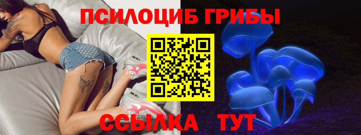 наркота  Псилоцибиновые грибы прущие грибы  Вход с VPN  Псилоцибиновые грибы мухоморы  Кинель 
